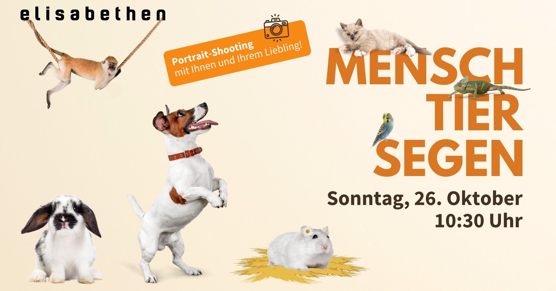 Mensch-Tier-Segen