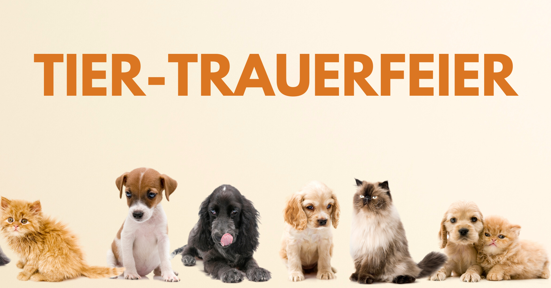Tier-Trauerfeier