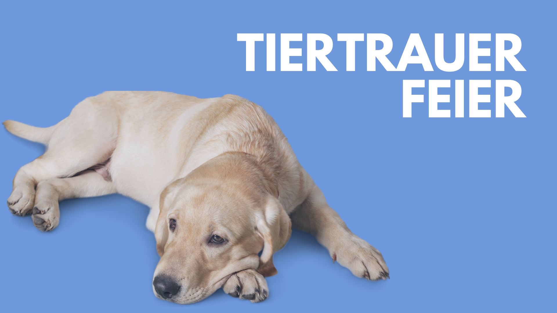 Tier-Trauerfeier